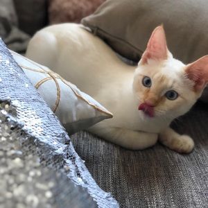 Meet your Posher, Julia